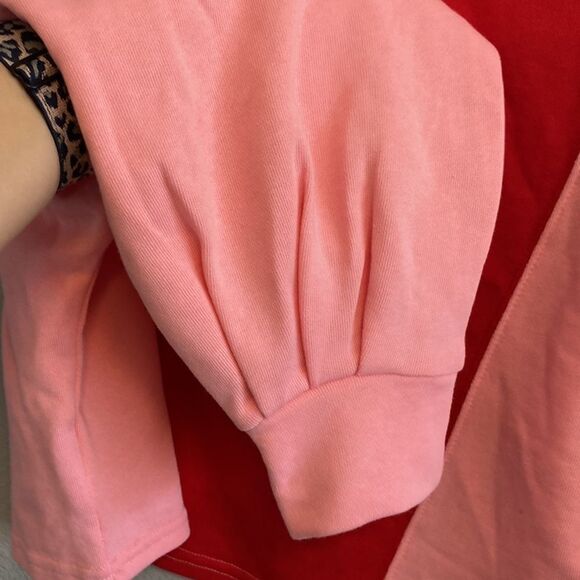 NWT-Circus NY- Cropped color blocked oversized top- Size small - Picture 9 of 11